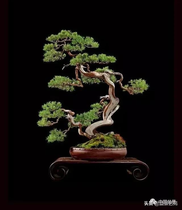 西泠印社砚台最高价拍卖记录,杭州西泠拍卖盆景