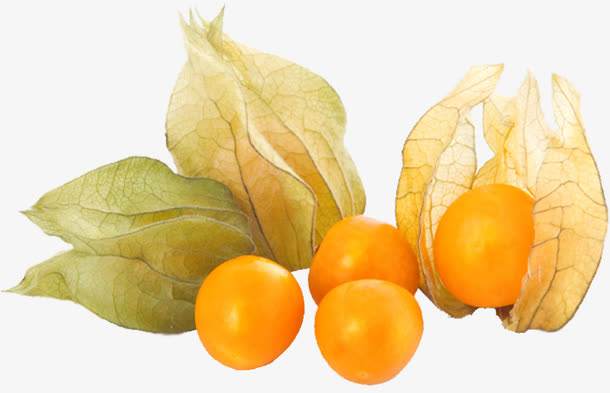 菇茑的营养,水果菇茑的功效与作用