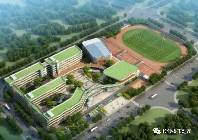 岳麓区新增学校名单,岳麓区最大项目