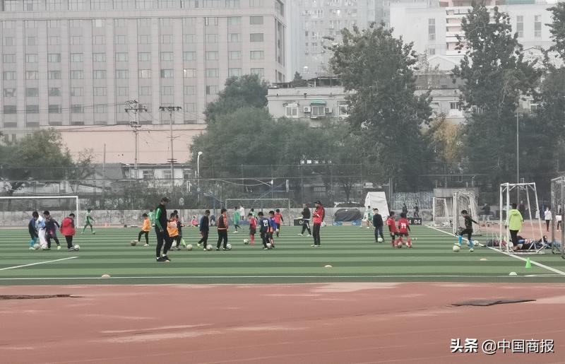 “双减”后体育培训热度大涨,有学生一周上三节校外课花费超千元