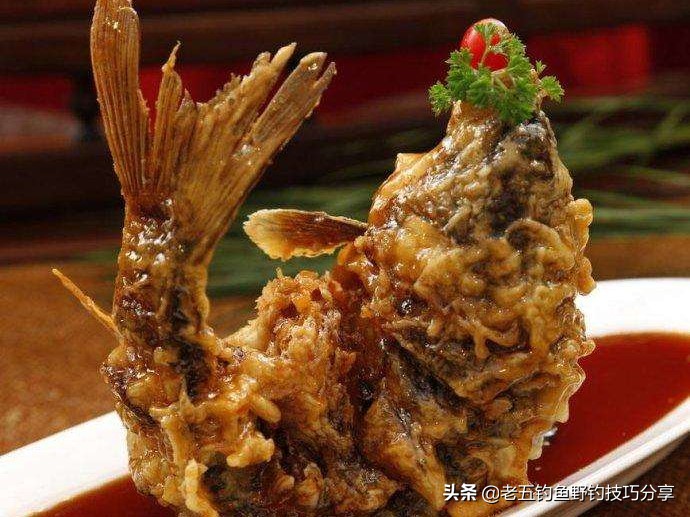 鲤鱼很难钓吗视频,鲤鱼最难的做法