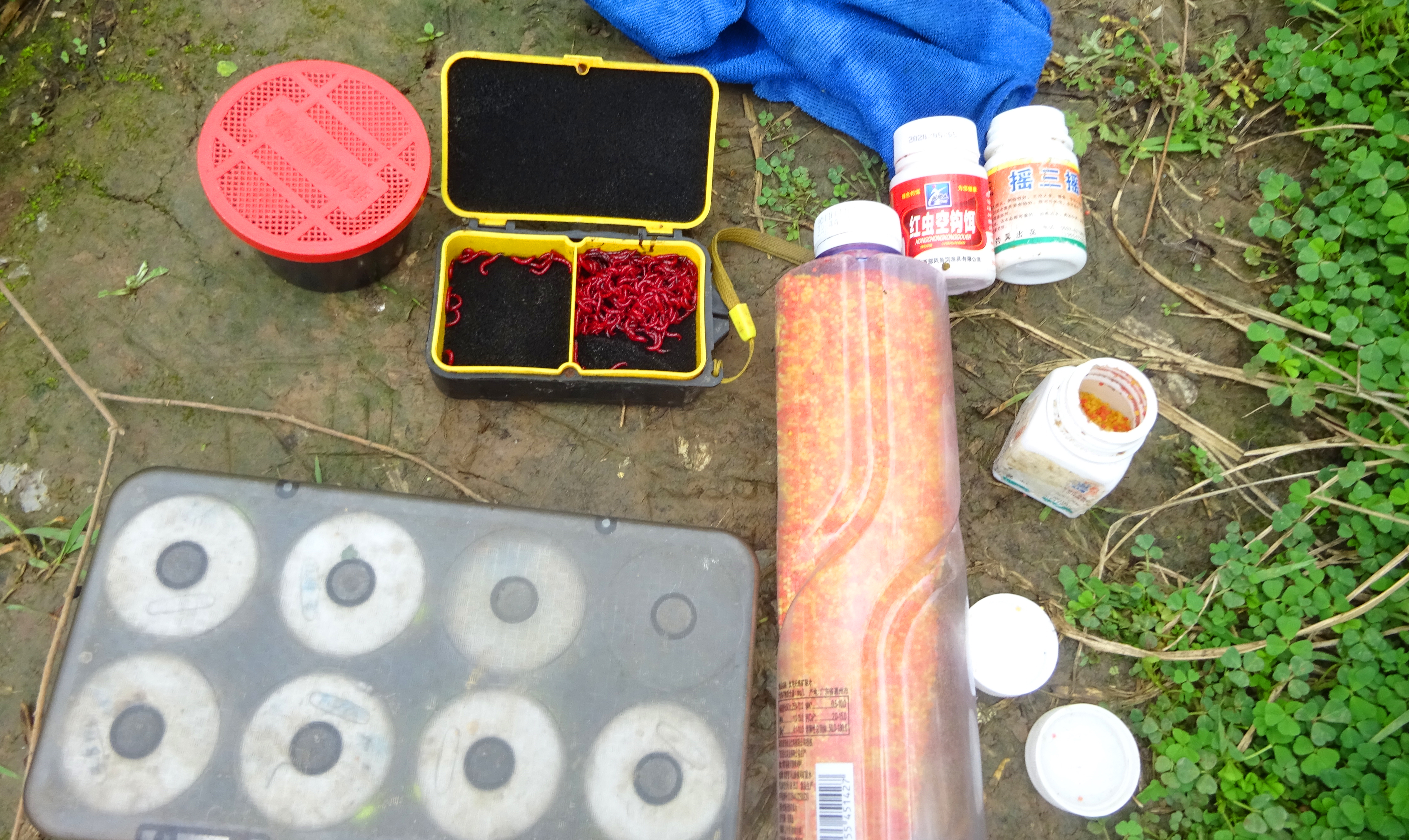 周末钓鱼钓什么鱼,野河野钓能钓到哪些鱼