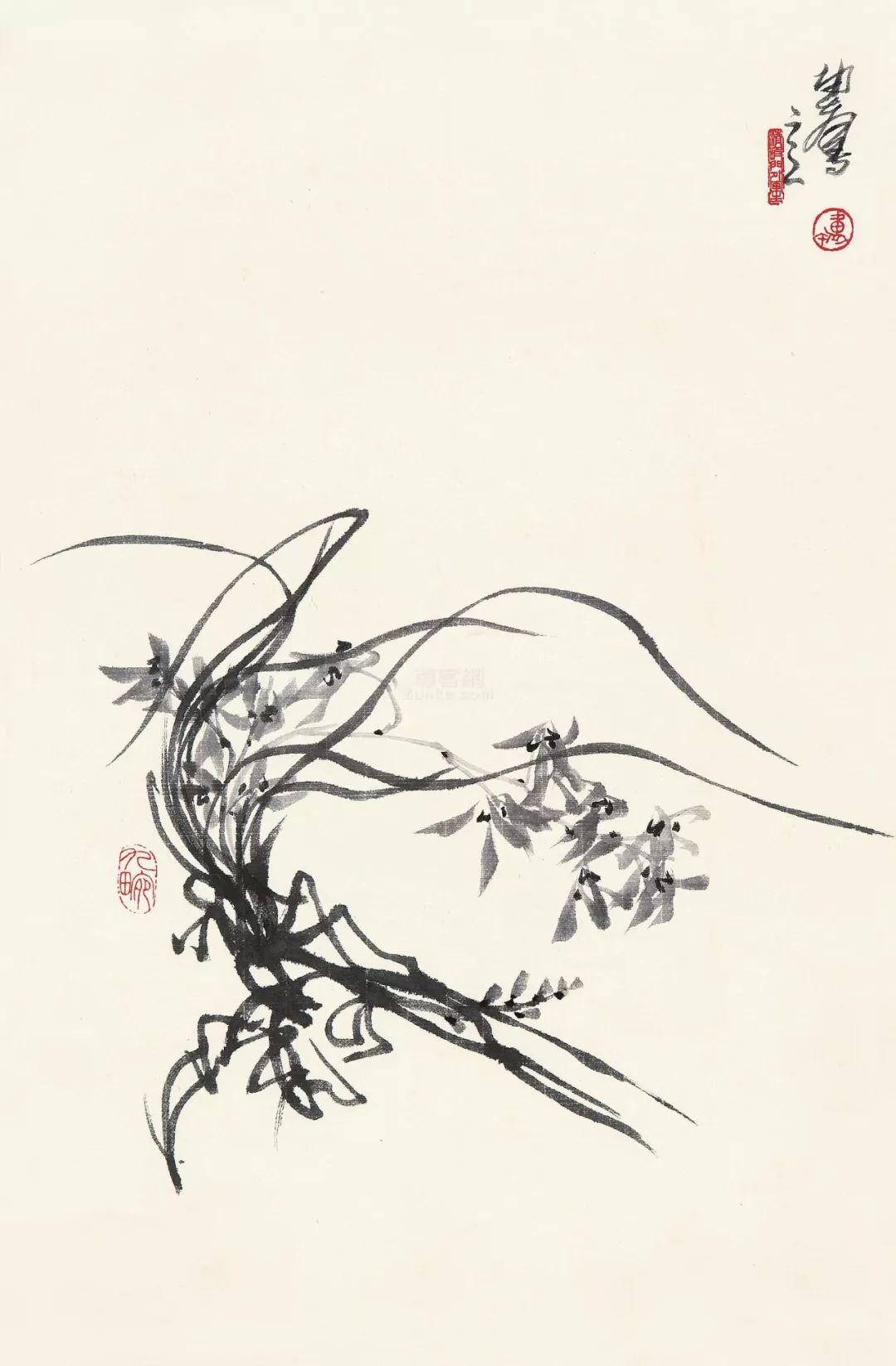 水墨怎么画兰花最好看,如何画兰花大全图片