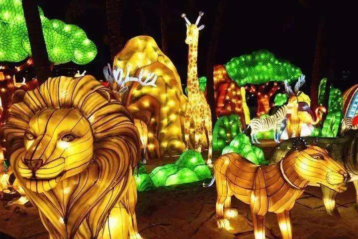 熊猫来永庆坊,鹰潭大熊猫