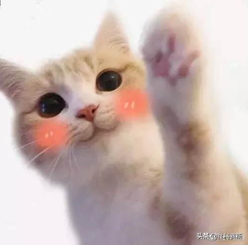 报考点选错了能取消报名吗,报考点现场确认怎么确认