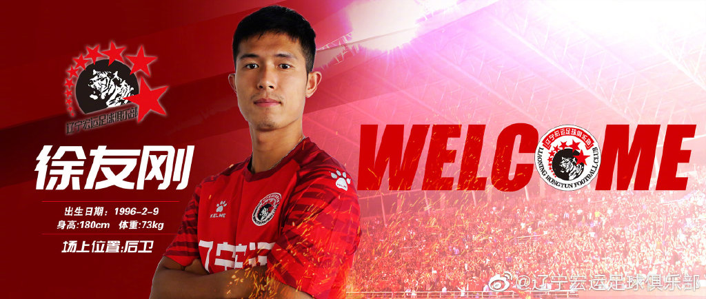 申花徐友刚,徐友刚辽足