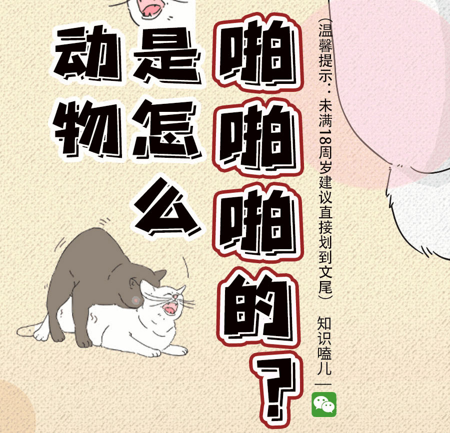 论啪啪啪，人类可比不上它们……