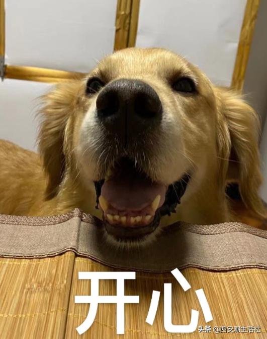 激动！全运会篮球赛程公布！快来看看你喜欢的球队哪天比赛？