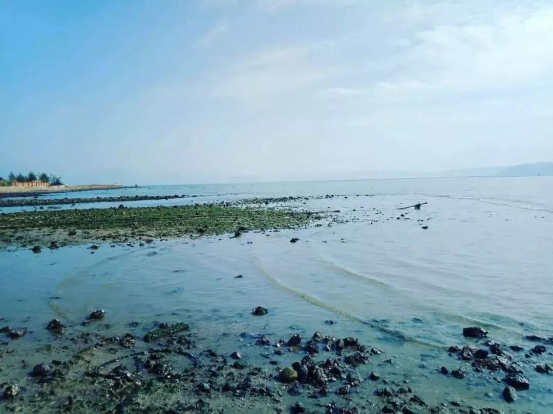 惠州融创海湾半岛,不限购海景房