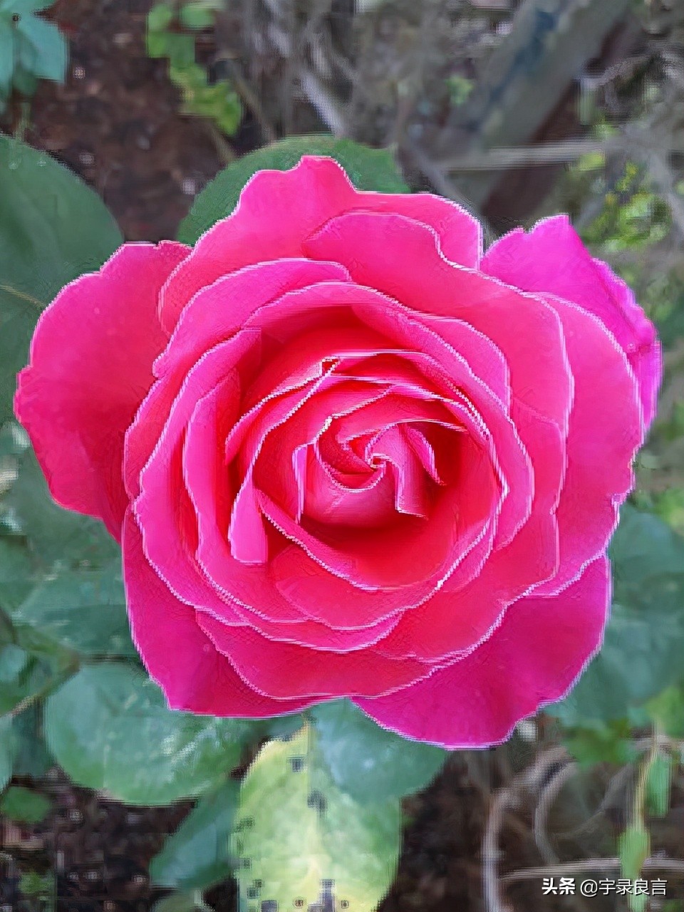 哲理短句精辟入骨,15条精辟入骨的句子