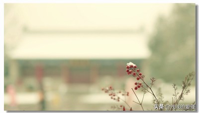 佛系简单的心境平淡的生活,佛系人生禅意生活可遇不可求