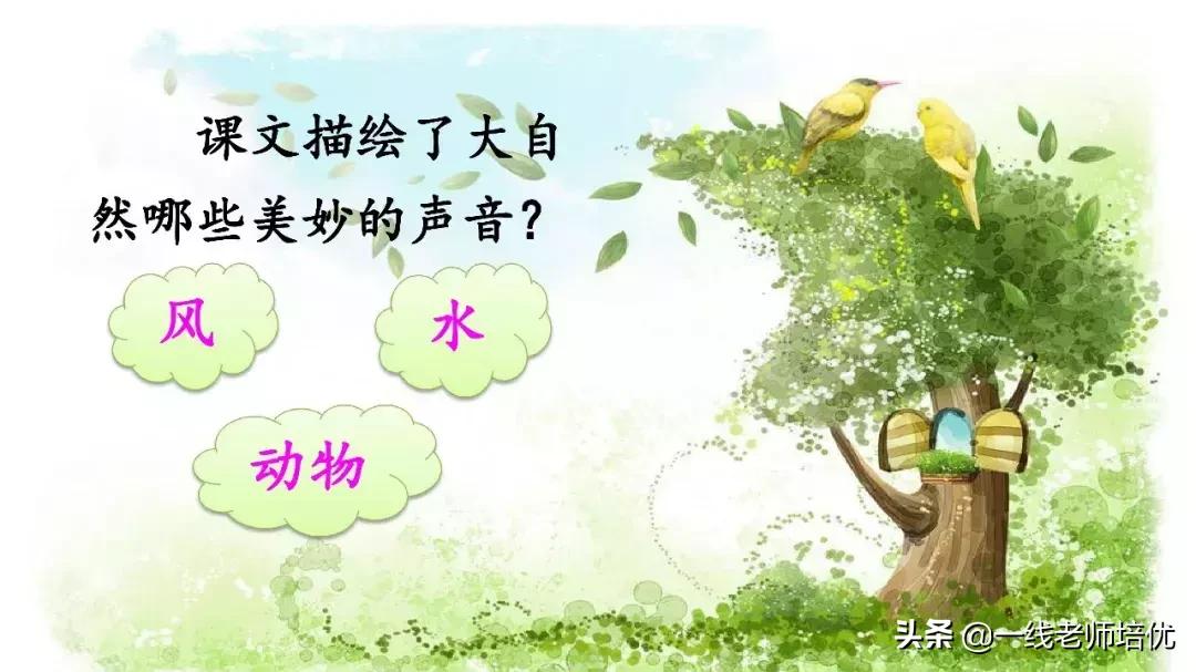 三年级21课大自然的声音全文图片,语文三年级大自然的声音课文讲解