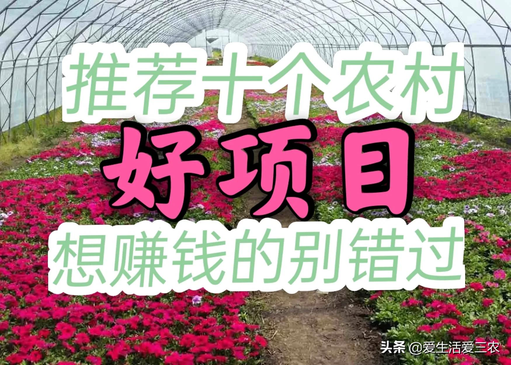 如何在农村创业好项目推荐,5个适合乡镇致富的创业点子