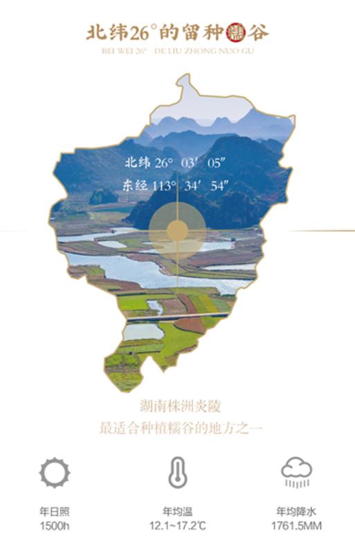 湖南承湘源紫苏甜糯米酒,承祥源米酒