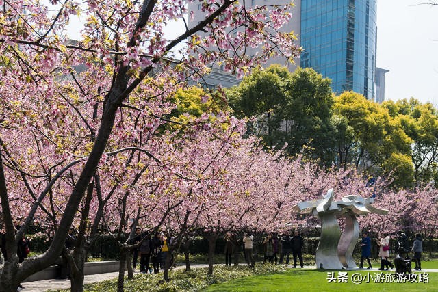 国内赏樱胜地大全,全国赏樱地图出炉共赴浪漫樱花约