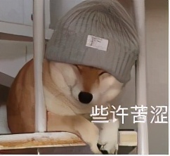 成都有哪些英语外教,成都有哪些外国语学校