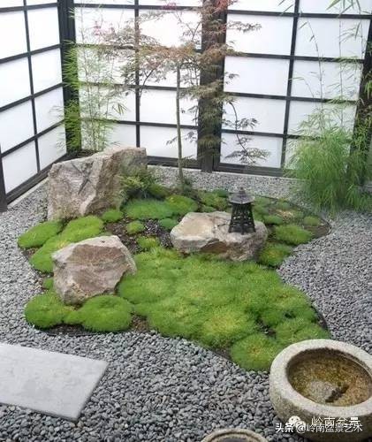 庭院树石盆景 (日式石头盆景布局)