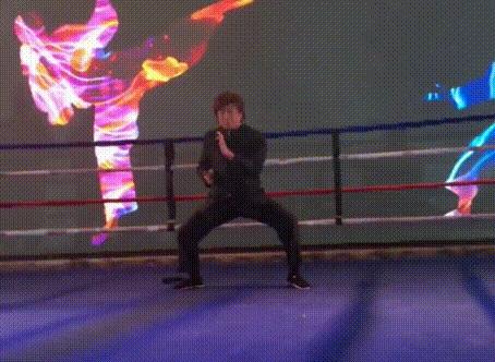 梁小龙陈真动作解析,梁小龙陈真腿功