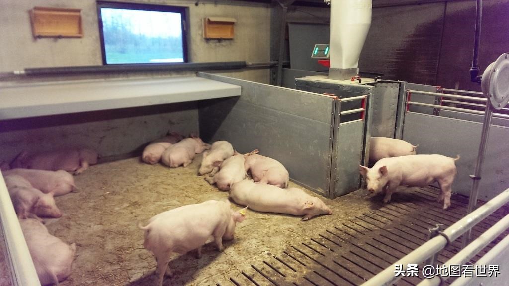 丹麦这个国家概况,丹麦王国发展史