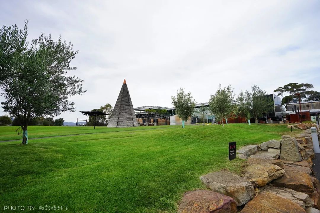 去哪里旅游可以看南极企鹅,旅游攻略南极看企鹅