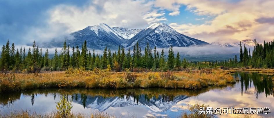 加拿大留学拒签最佳解决方法,加拿大留学续签有没有拒签