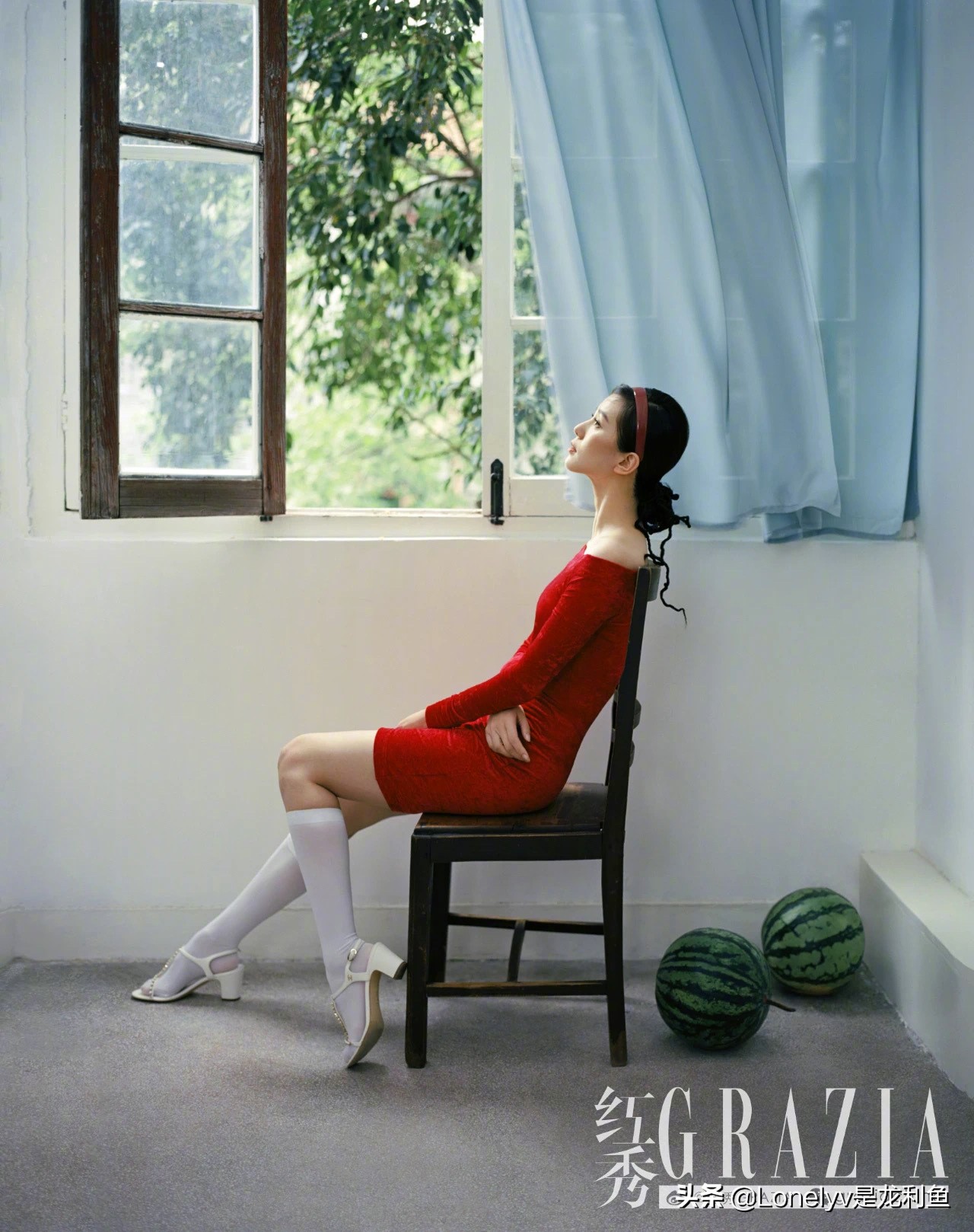 亦舒石榴图,亦舒的石榴图