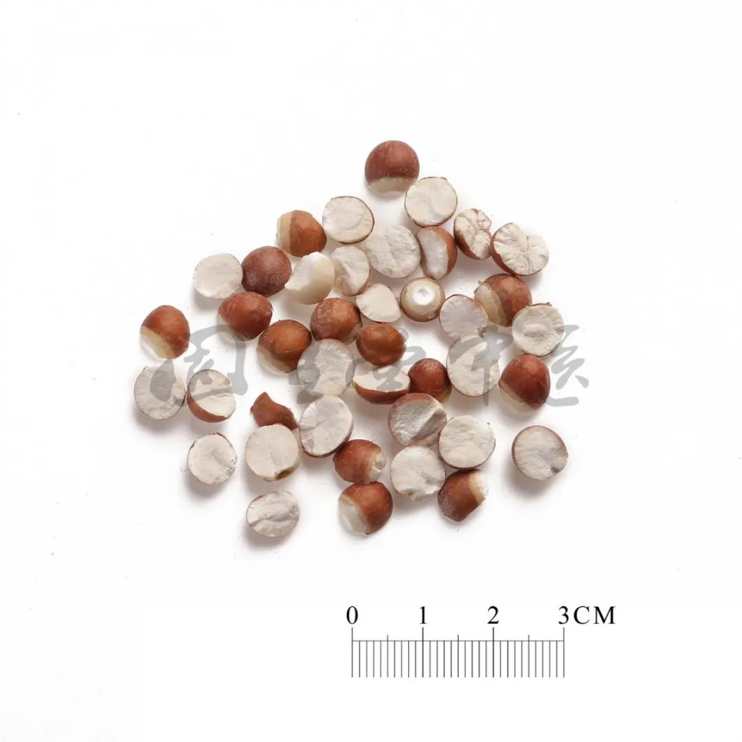 孩子咳嗽总是清嗓子怎么回事,孩子总是吭吭的清嗓子吃什么药