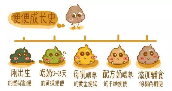 宝宝刚吃辅食就挑食怎么办,宝宝刚吃米糊拉肚子