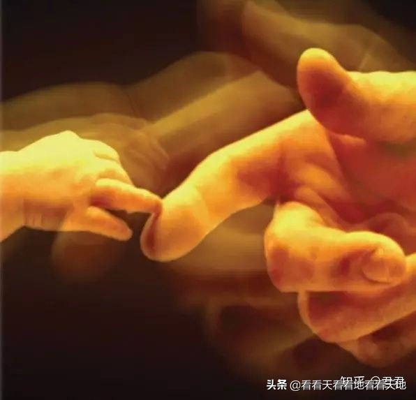 男人都是下半身动物？BBC来揭秘了！