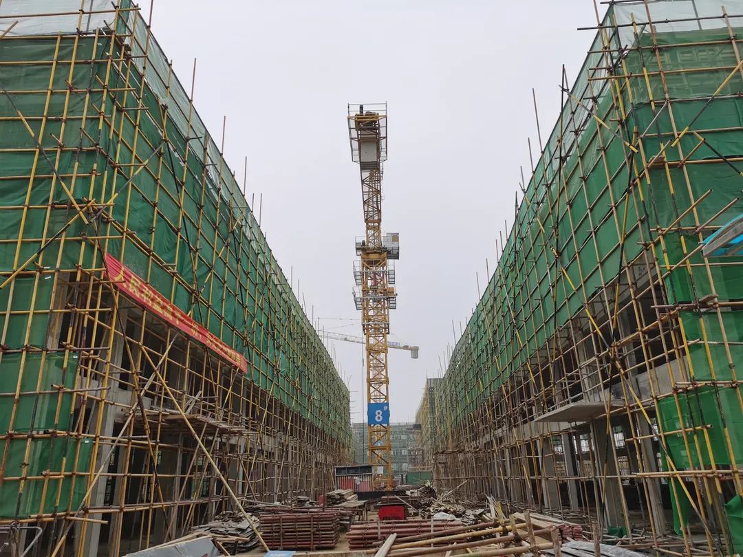 如期而至再创辉煌,如期而至新品呈现