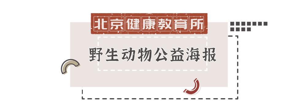 平面海报都有啥,2020年21张海报回顾这一年