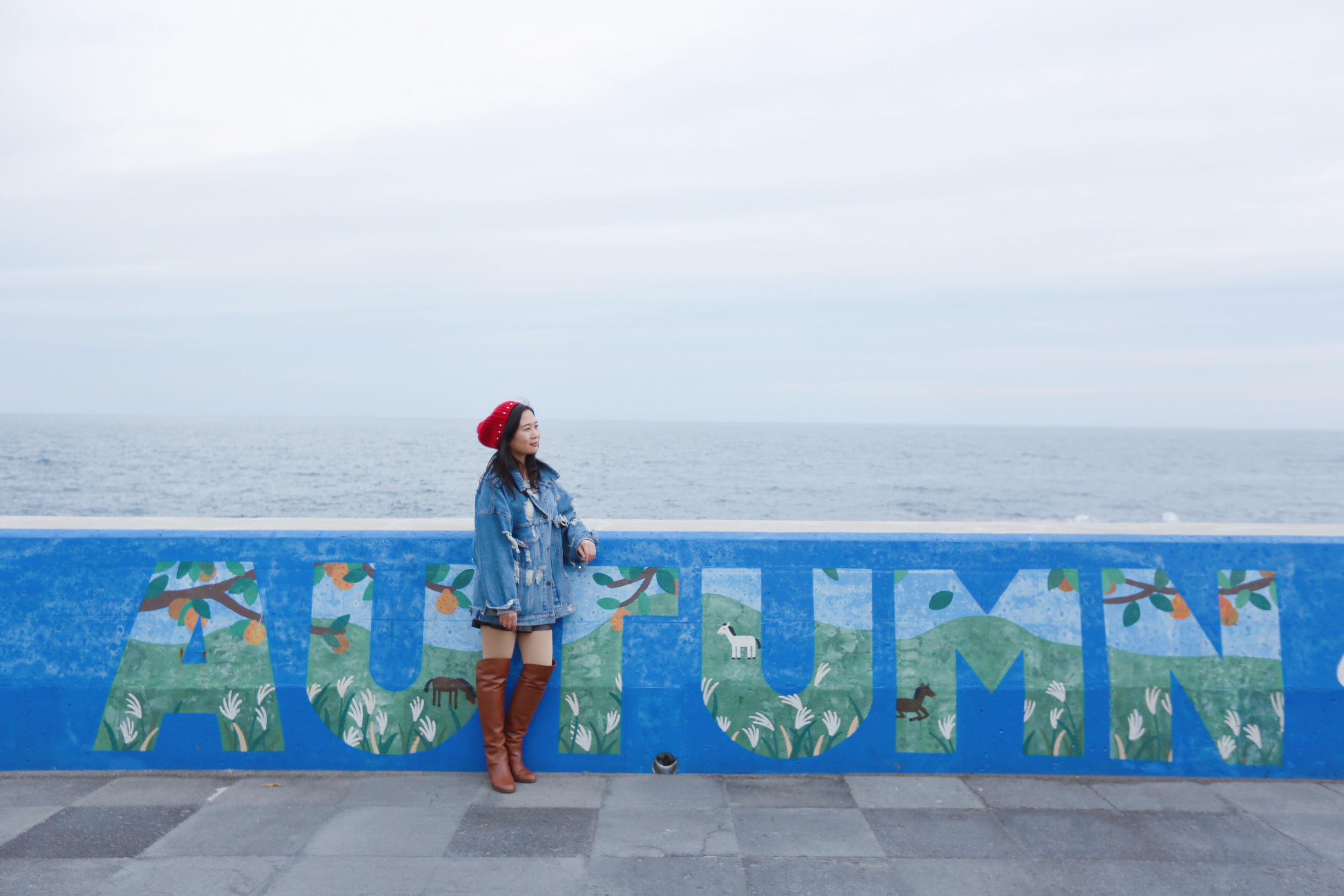 济州岛泰迪熊主题乐园和博物馆,韩国泰迪熊旅游