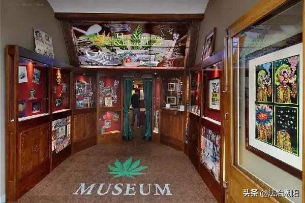 中国游客泰国误食大麻,中国游客加拿大误食大麻