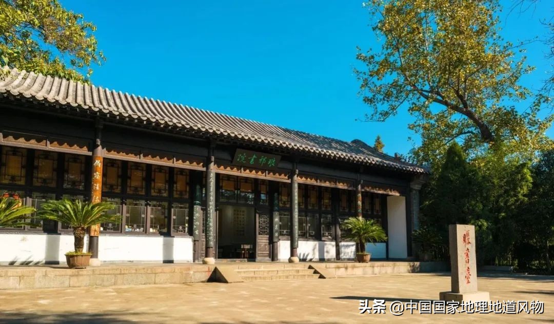 济南青岛临沂,青岛和临沂差距有多大