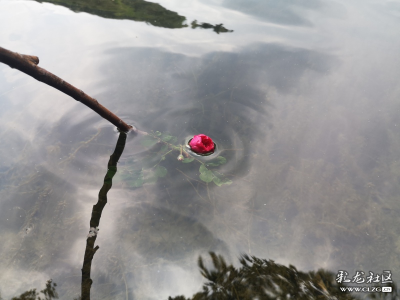 昆明大墨雨村攻略,昆明团结镇大墨雨村一日游