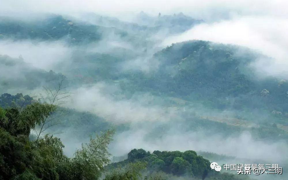 绿都最氧三明景区预约,绿都最氧三明旅游攻略