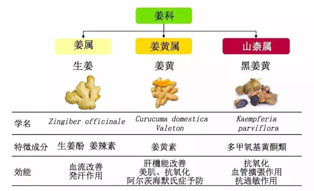 pola抗糖丸有效果吗,pola抗糖丸有效么