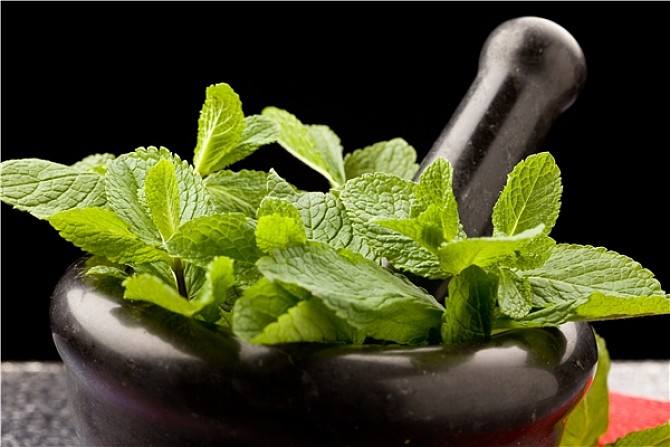 心火胃火旺吃薄荷泡水喝降火吗,天干喉咙疼吃什么能去火