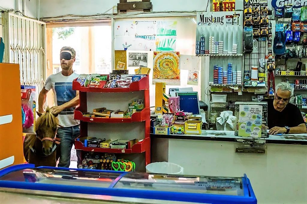 导盲马寿命有多长,导盲马可以看多远