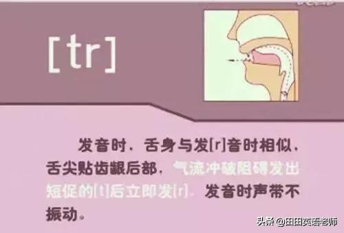 48个英语国际音标发音表图片,英语48个音标发音附详细图解视频