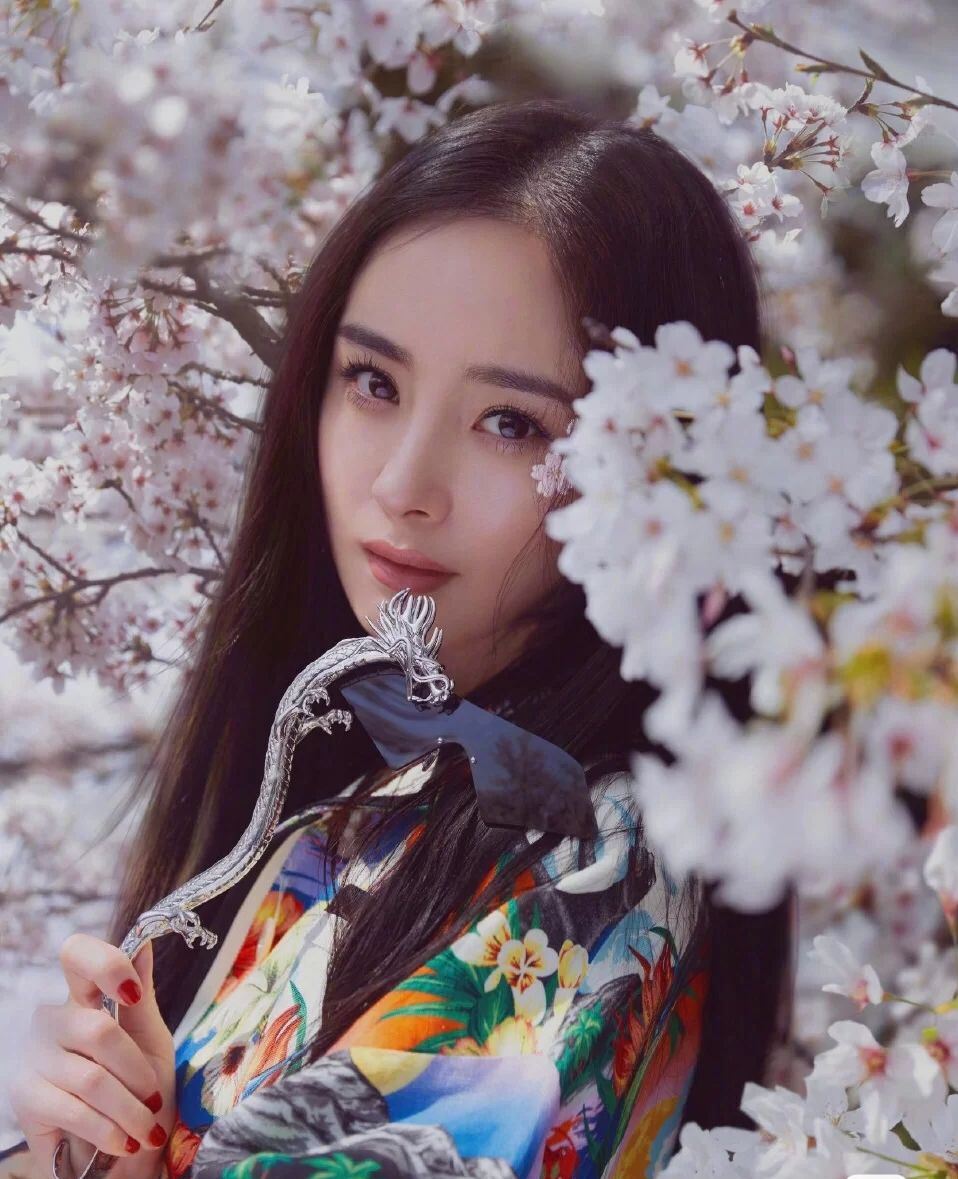 丹凤眼开扇形双眼皮刘亦菲,刘亦菲眼型眼妆