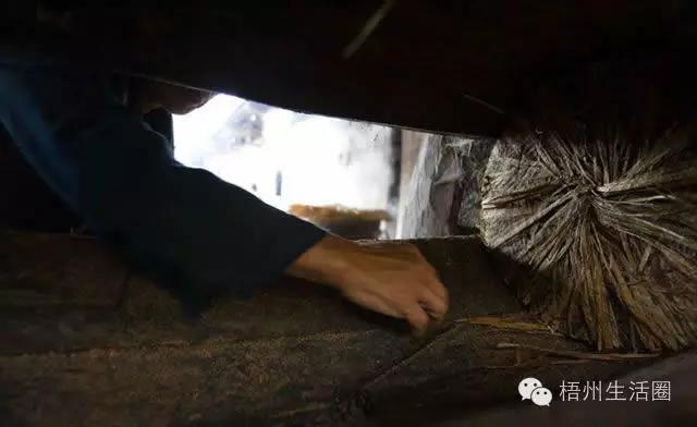 “茶油煮饭，锅底刮烂”！罗定的你试过了吗？