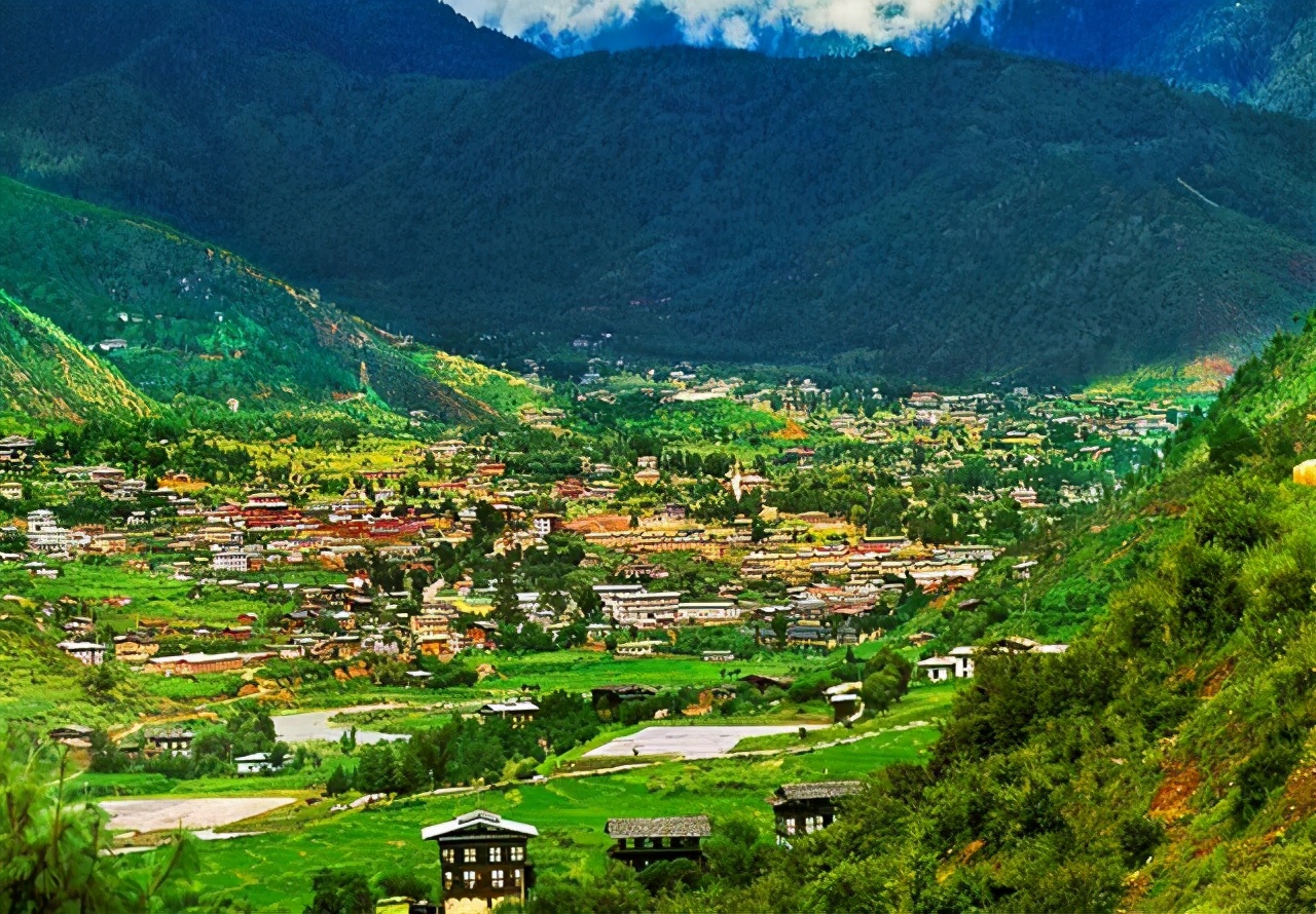 三十条冷知识大全,荷兰100条冷知识