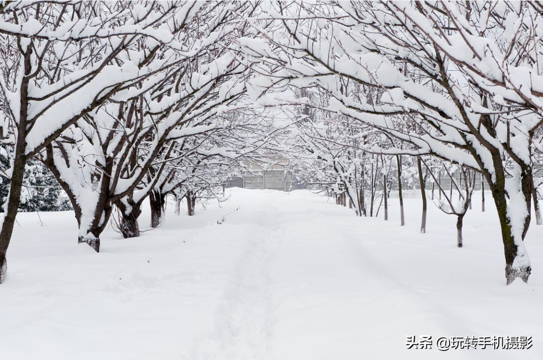 朋友圈赞爆的美照,雪景美爆朋友圈