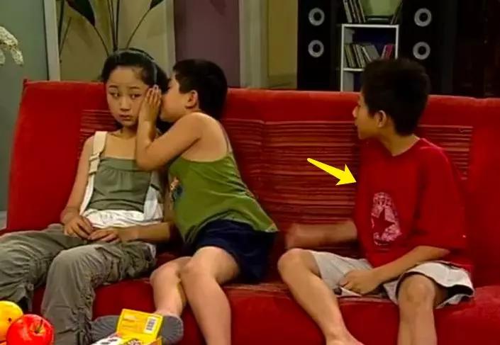 家有儿女刘星家到底是多有钱,家有儿女刘星家究竟多有钱