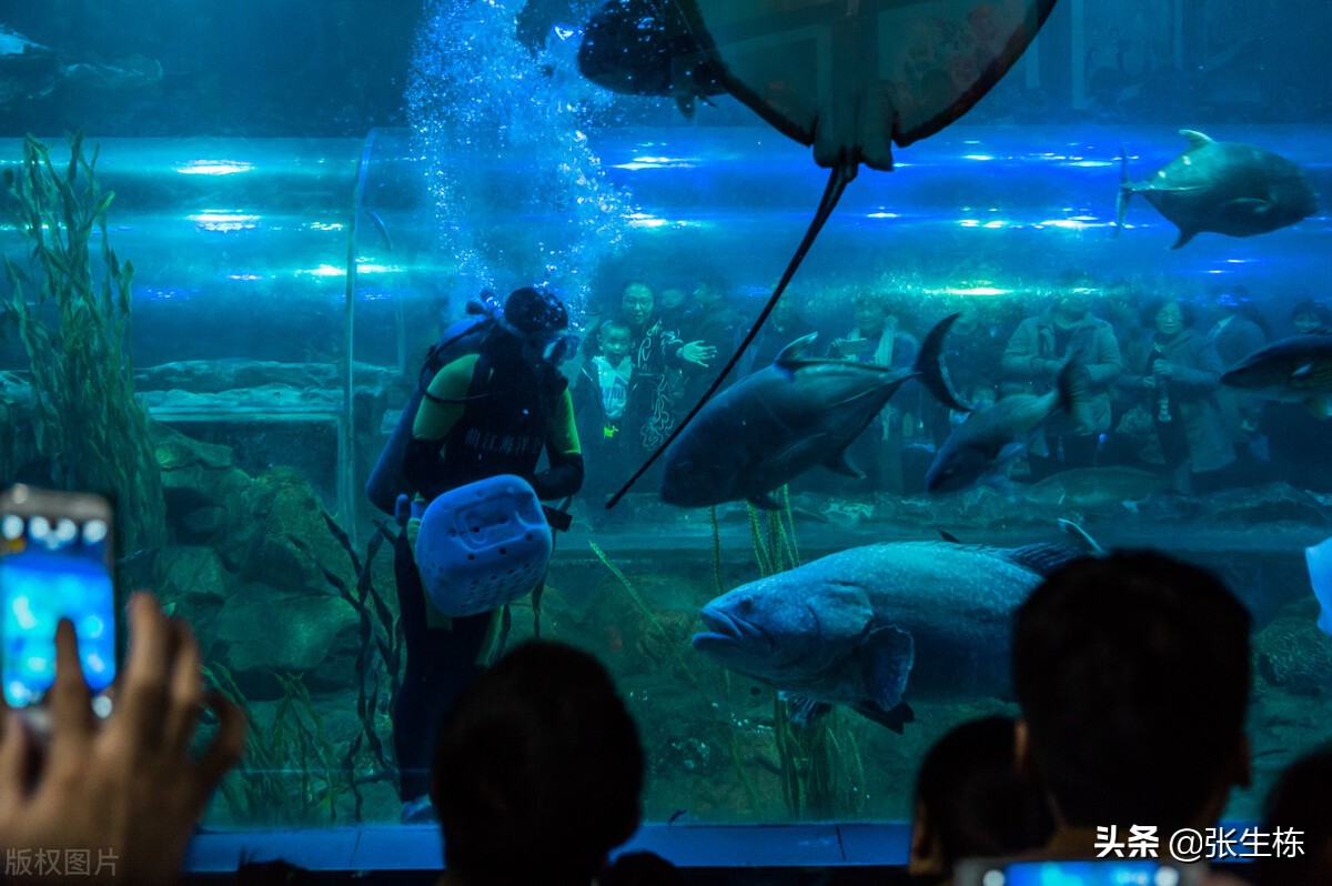 浜斾竴钀嶄埂鏃呮父鏀荤暐鏅偣蹇呭幓鎺ㄨ崘,浜斾竴鏈熼棿鍘昏タ婀栨梾娓告櫙鐐瑰厤璐瑰悧