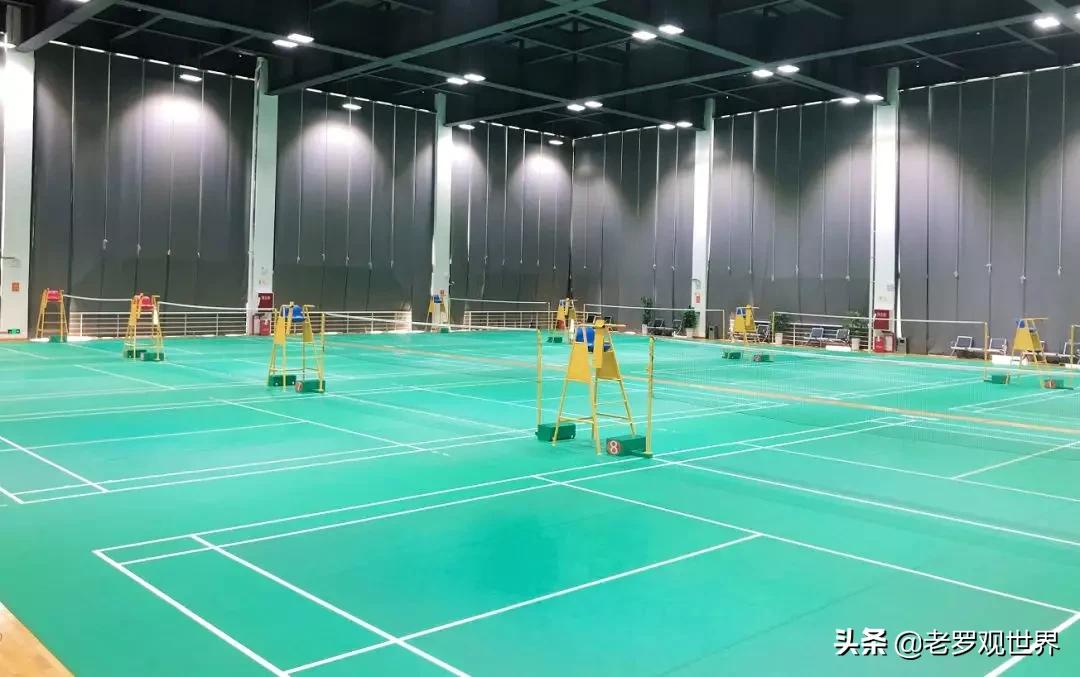 成都哪些体育场馆免费开放,成都开放的体育场有哪些