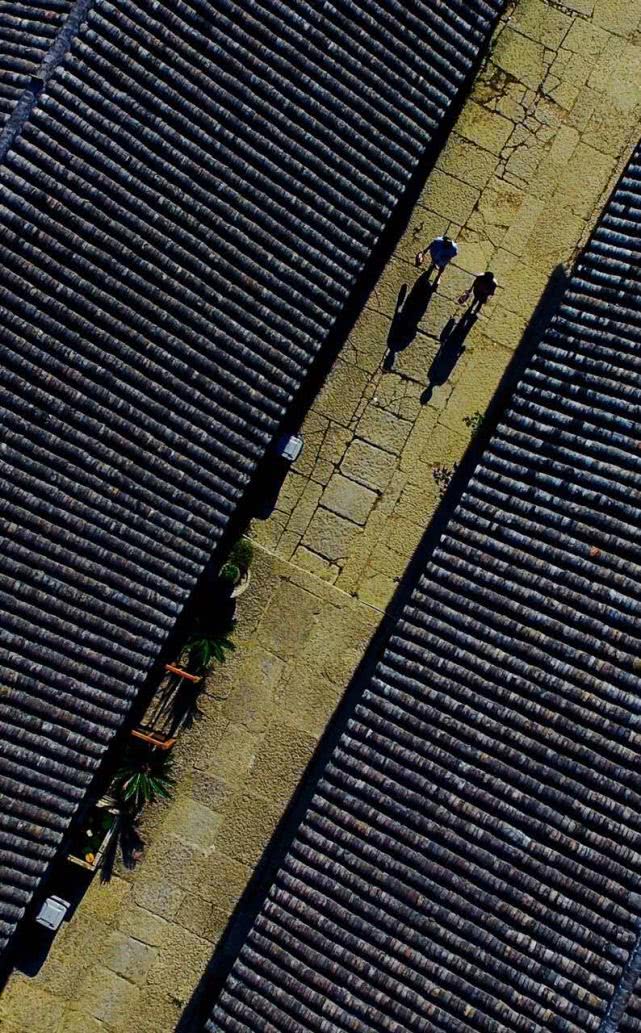 重庆南川金佛山自驾游图片,重庆金佛山自驾游最佳路线