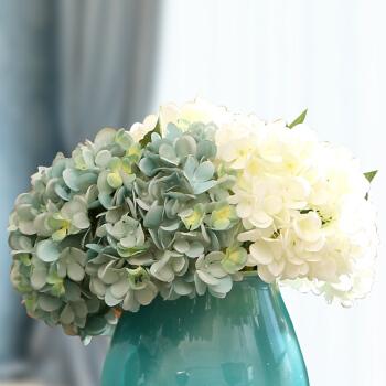 鲜花插花技巧专业术语,插花常见鲜花名称大全