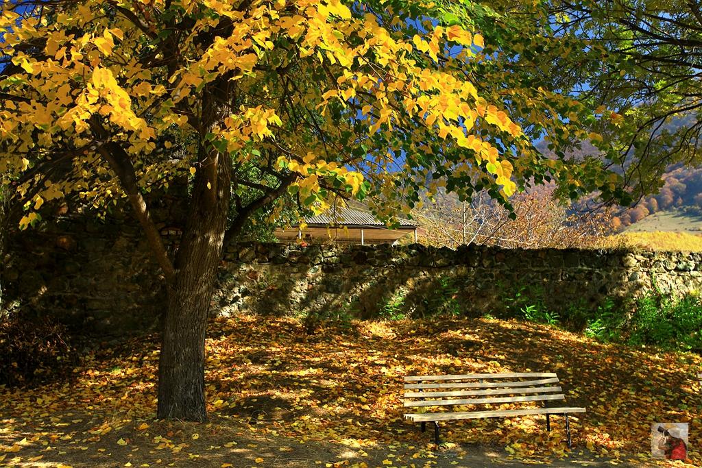 金秋探秘格鲁吉亚和亚美尼亚，大量美图谨防中毒（干货篇）